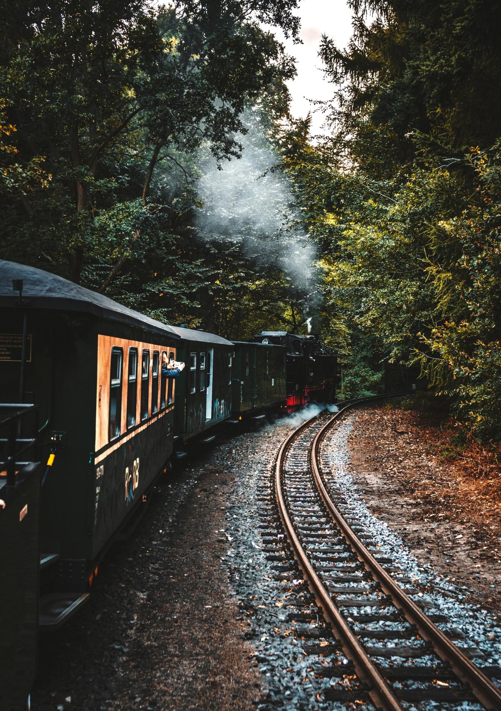 A vintage train travels through a lush forested landscape, emitting smoke into the air.